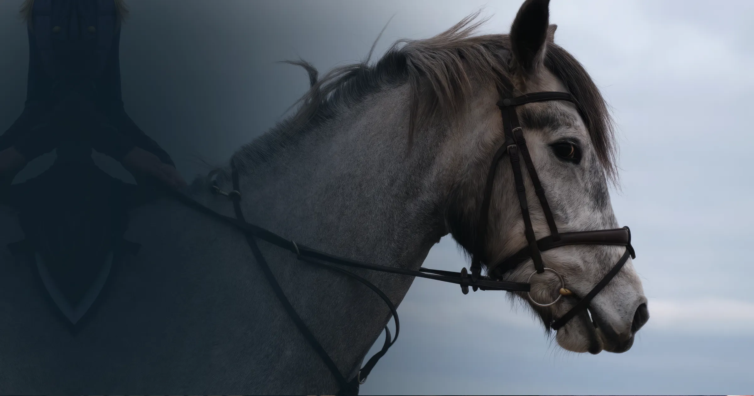Grey horse facing right against a cloudy sky, wearing a bridle. Horse's expression is calm and regal. Left side has a shadowy, abstract aura.